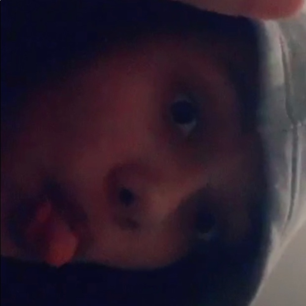 Meet your Posher, Alivia